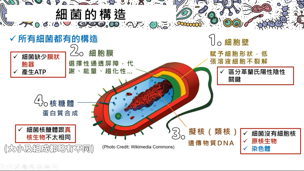 中興大學磨課師-細菌的構造課程截圖